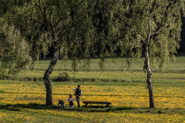 vormwald 1 - (c) l lammers.jpg